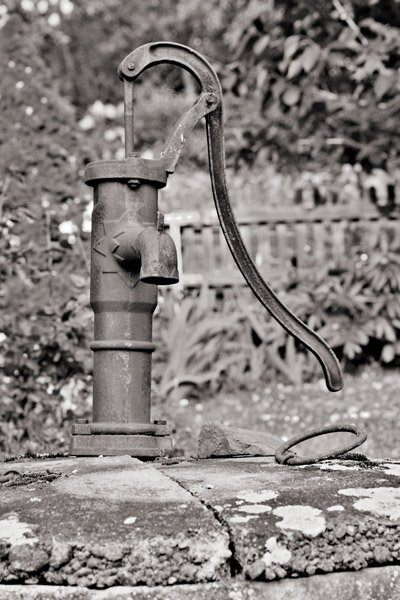 DSC_4746-1sw