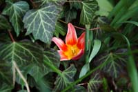 0229DSCF2743