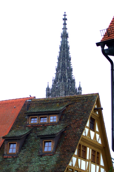 133.Reise