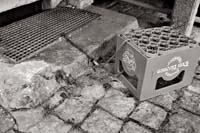 Wertvoller leerer Bierkasten